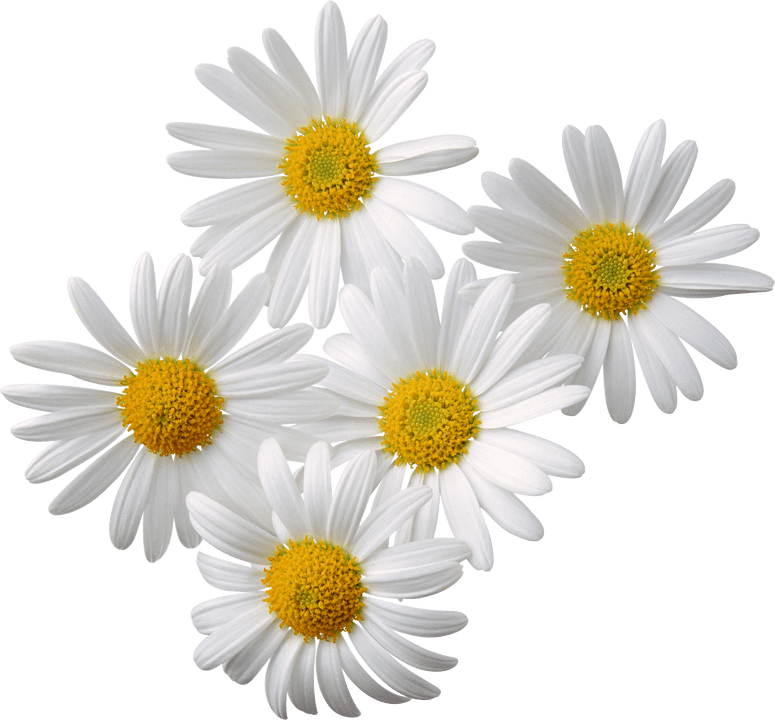 Ramintuvas